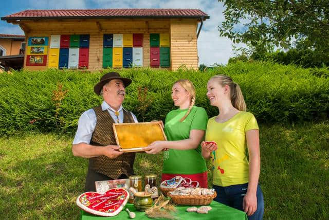 欧洲最佳蜜蜂旅游目的地——斯洛文尼亚
