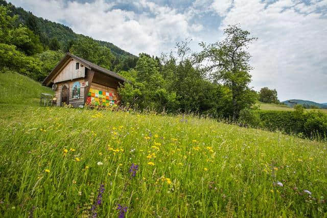 欧洲最佳蜜蜂旅游目的地——斯洛文尼亚