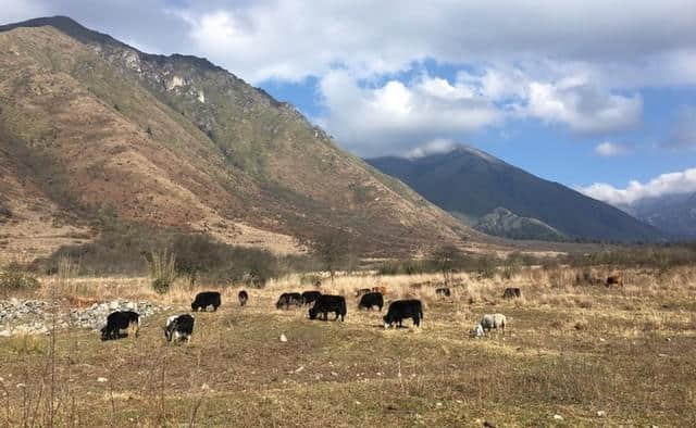 遗世独立的高原湖泊风光——冕宁县冶勒湖