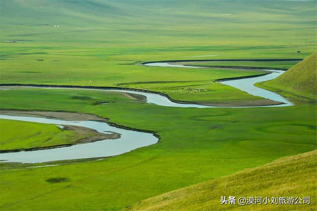 呼伦贝尔草原6日游要花多少钱？必去景点，莫日格勒河，免费！