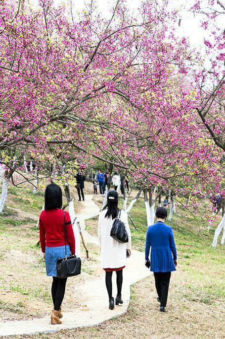 云浮旅游丨郁南特色景区迎新春