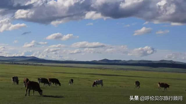 呼伦贝尔大草原6日旅行计划