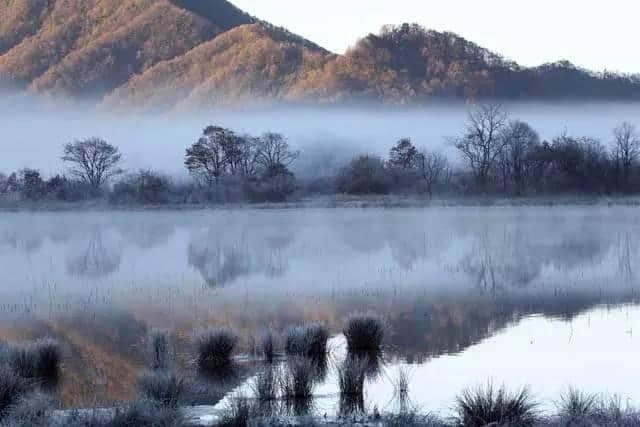 享受湖北夏季的那一抹清凉（神农架篇）