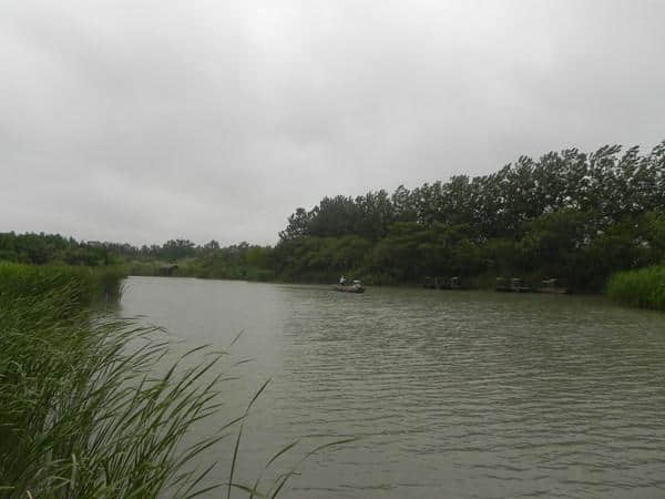 天然去雕饰 淳朴呈野趣——从溱湖到大丰麋鹿旅游季