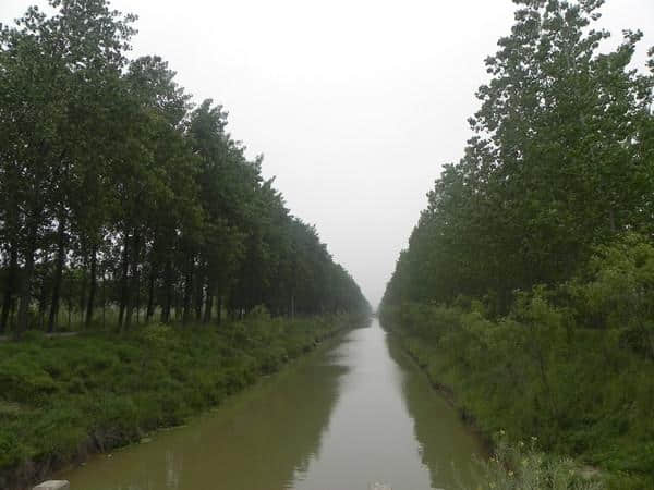 天然去雕饰 淳朴呈野趣——从溱湖到大丰麋鹿旅游季