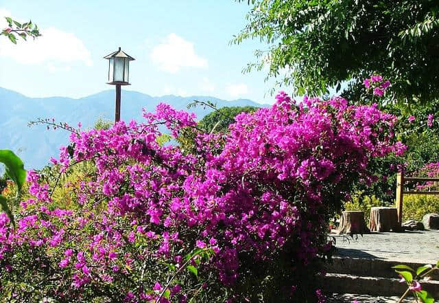 大理南诏风情岛，到大理旅游必去景点之一，风景秀丽