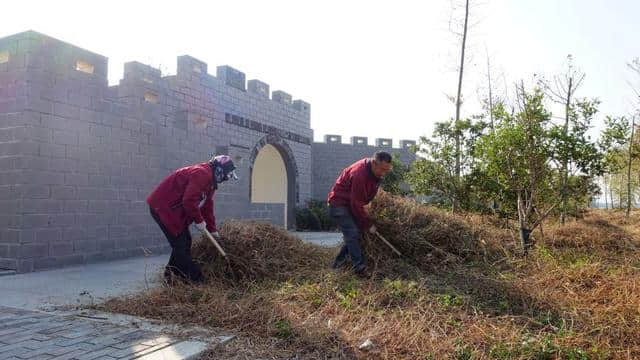 洪泽湖古堰景区清除杂草 提升旅游形象