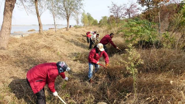 洪泽湖古堰景区清除杂草 提升旅游形象