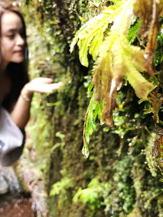 蜀南竹海——演绎传说的地方 附精美人物图片及拍摄、旅游攻略