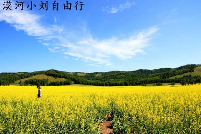 去呼伦贝尔大草原旅游攻略 满洲里-漠河一路向北 这样玩最棒