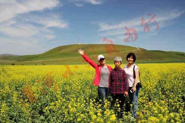 去呼伦贝尔大草原旅游攻略 满洲里-漠河一路向北 这样玩最棒