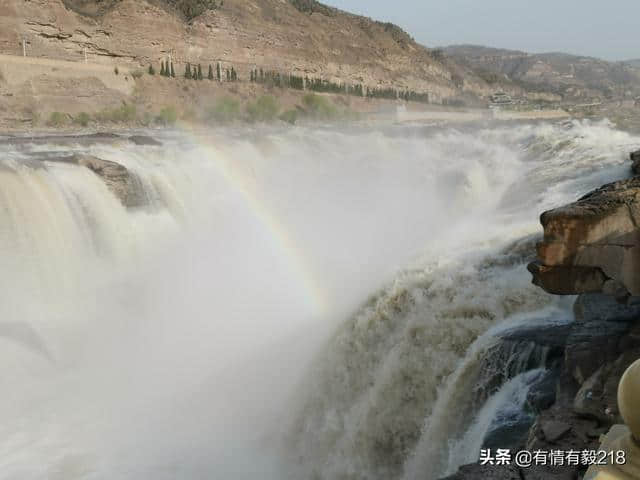 济南出发-平遥古城-王家大院-大槐树-壶口瀑布旅行攻略自驾游记