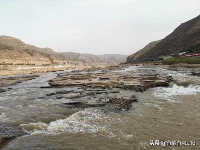 济南出发-平遥古城-王家大院-大槐树-壶口瀑布旅行攻略自驾游记