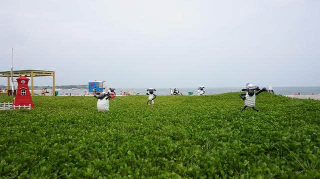 这是一个被人忽略的绝美度假胜地—红海湾，你有来过吗？