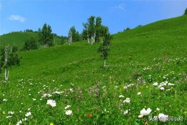 还在等7月去呼伦贝尔草原旅游吗？这个时候才最好！附游玩攻略