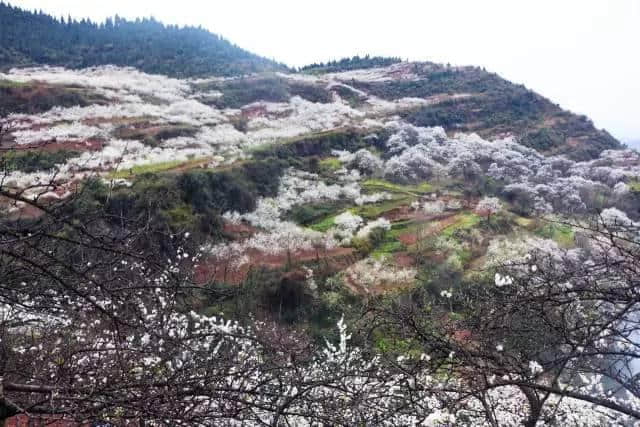 五一旅游“人从众”！达州开江旅游带你找“静静”