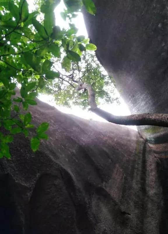 为什么说去粤东旅游潮阳必去，理由给足你