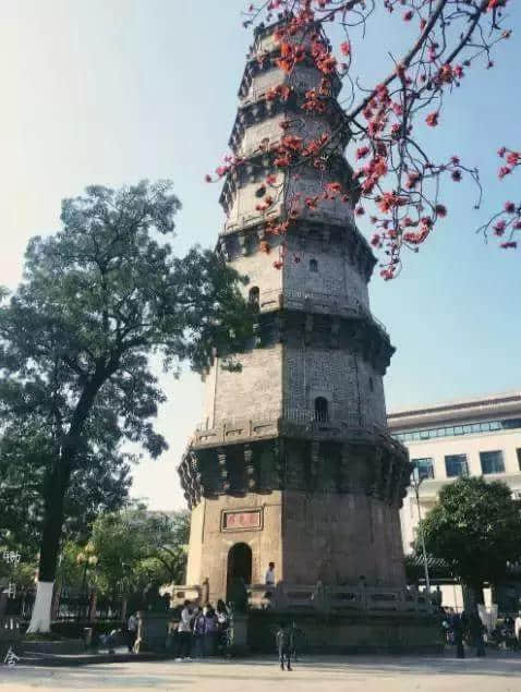 为什么说去粤东旅游潮阳必去，理由给足你