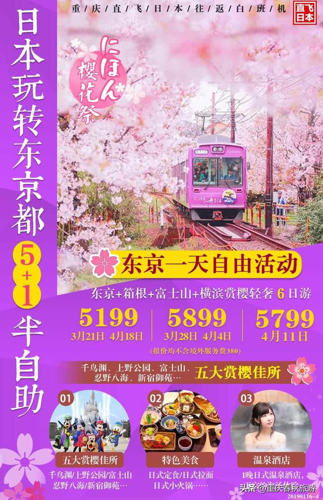 2019第一波樱花盛开时间表正式公布！赏樱之旅全面开启