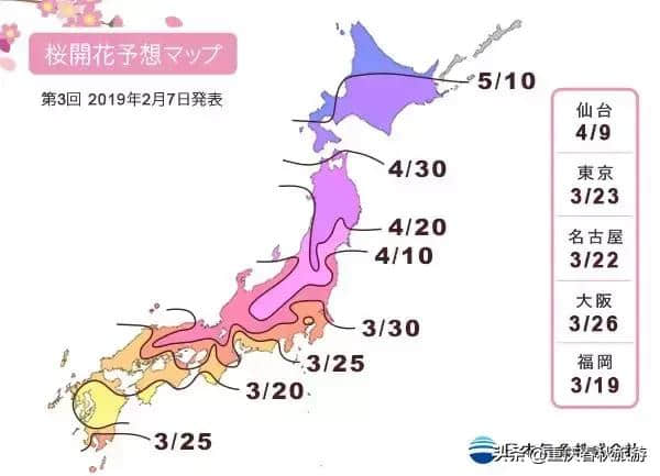 2019第一波樱花盛开时间表正式公布！赏樱之旅全面开启