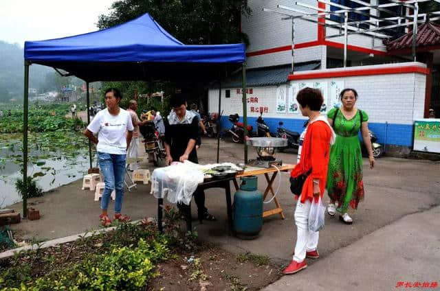 乡村旅游新去处　燕山荷塘客如潮