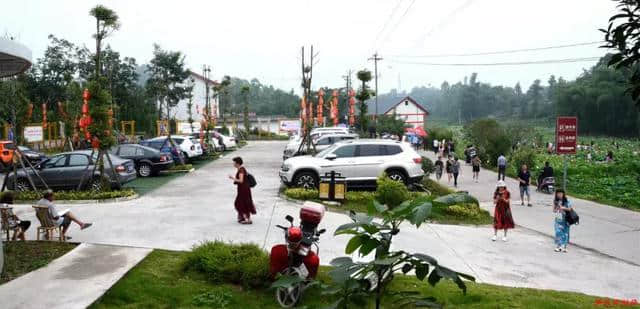 乡村旅游新去处　燕山荷塘客如潮