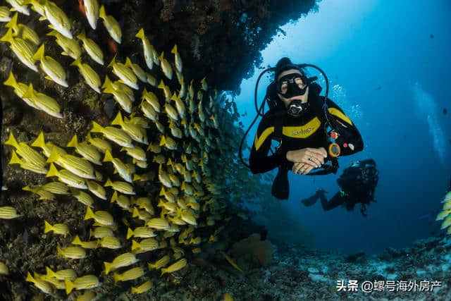 马来西亚行前必备小知识