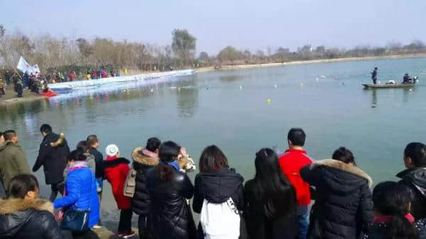 冬季，洪泽湖湿地许你一场美妙的旅行！