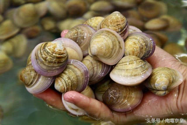 请到汕尾红海湾来，海胆美味美景任你食游，休闲浪漫激情任你欢！