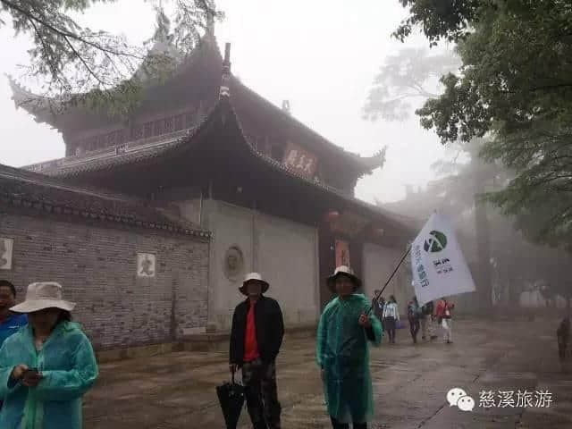 慈溪免费一日游丨“小时光 慢旅行”，我们又来啦~这次，我们带你去看盐碱花海、爬秋日古道！