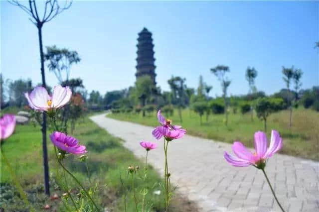 旅游攻略｜元旦去哪？这里有一份洛阳元旦旅游攻略等你查收