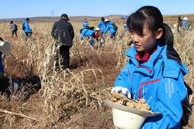 呼和浩特周边游新攻略