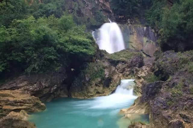 推荐丨七夕就去万花谷，借花献TA，爱要大声说出来~