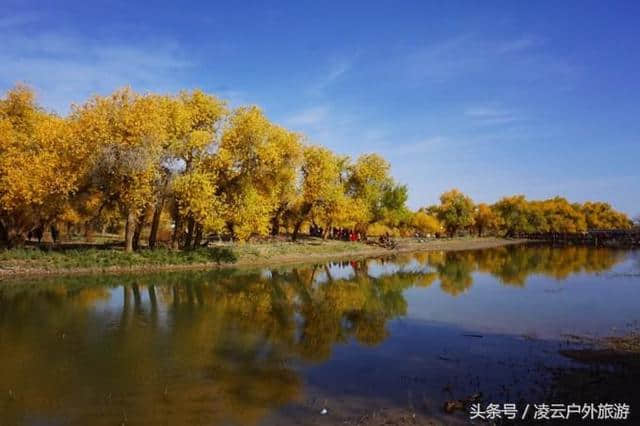 额济纳，胡杨林景区