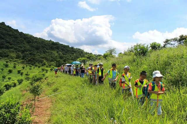 周末从化自驾旅游攻略大全，来从化玩点新鲜的！-维拉度假