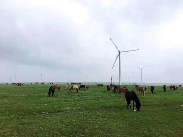 呼和浩特周边游