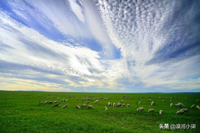 呼伦贝尔游玩5天该怎么规划路线？两种推荐路线，草原+森林+湿地