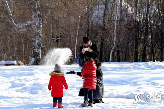 欢乐祥和过大年：哈巴河县白桦林成春节游玩好去处