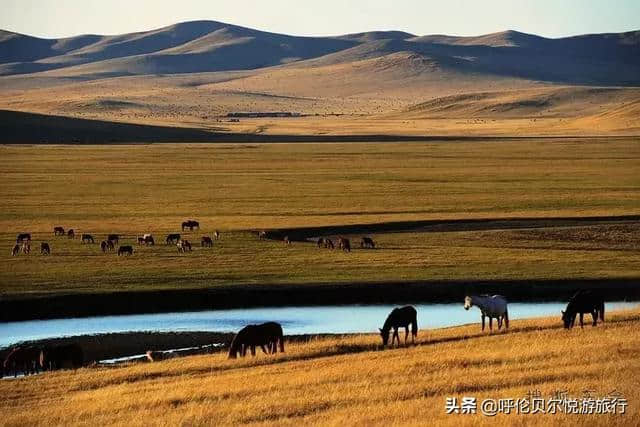 呼伦贝尔秋季旅行深度攻略