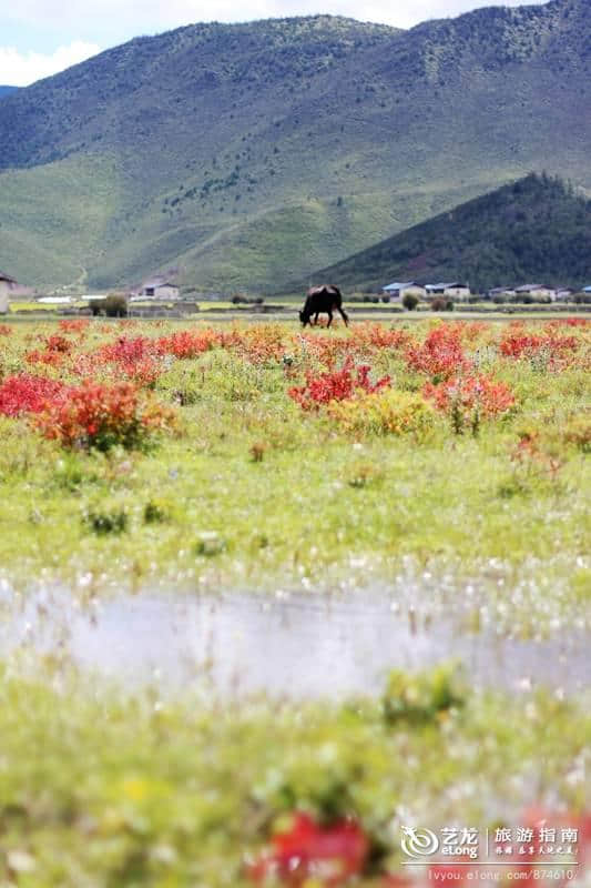 10个适合情侣旅行的地方，每年一起去一个可好？