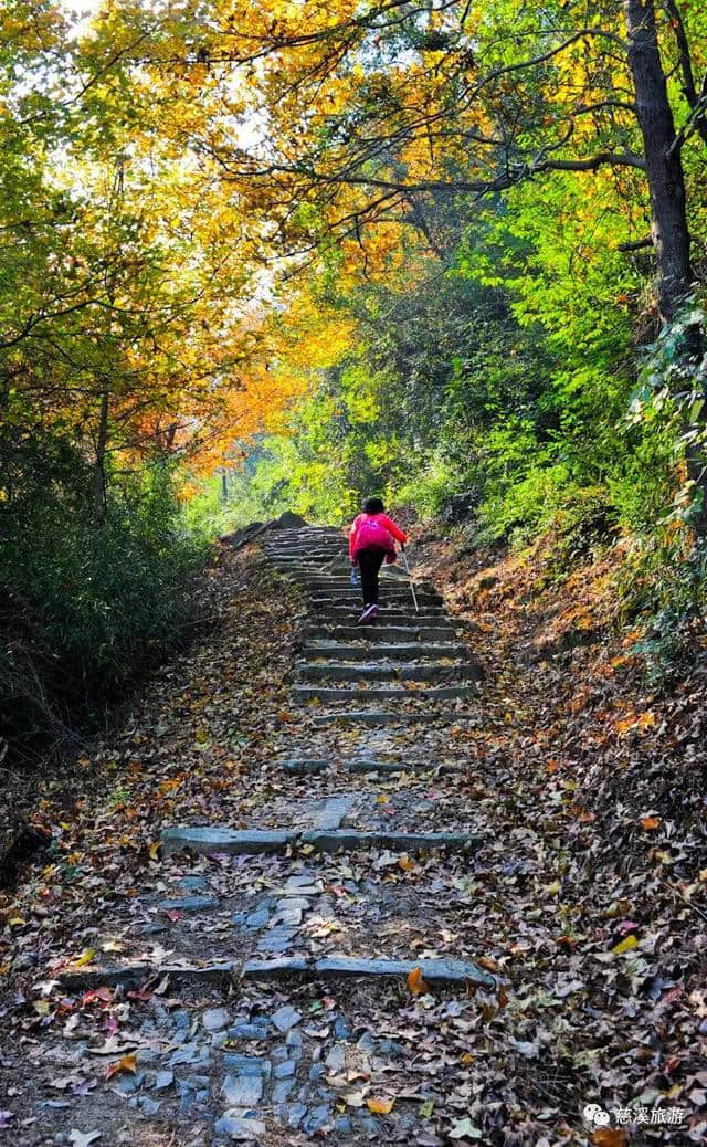 登高赛招募令丨寻找那个爱登山的你，一起感受慈溪最美深秋~