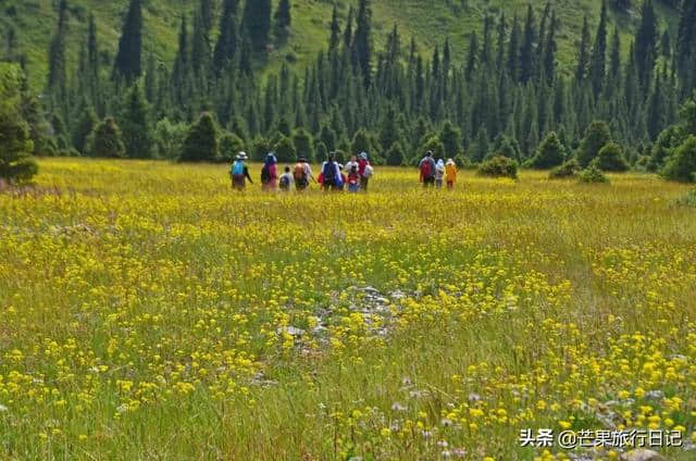 新疆旅行，偶遇几个老师，四女一男租车自驾同吃同住近一周