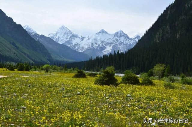 新疆旅行，偶遇几个老师，四女一男租车自驾同吃同住近一周