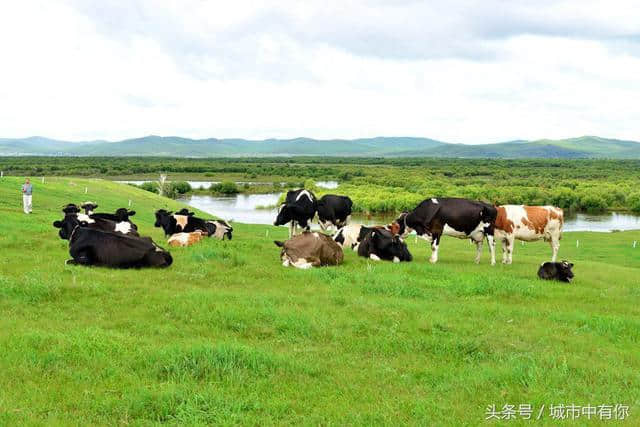 去呼伦贝尔大草原的旅行禁忌