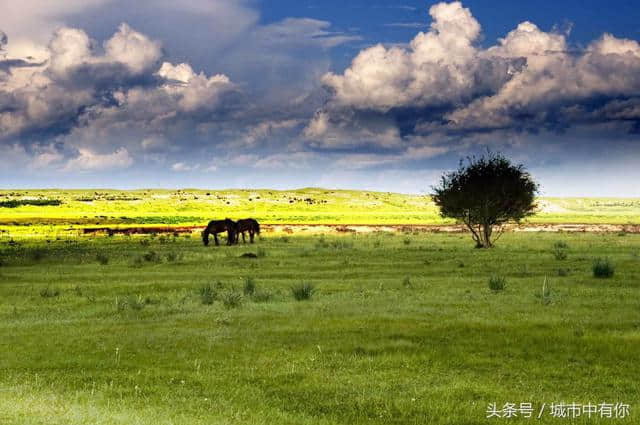 去呼伦贝尔大草原的旅行禁忌