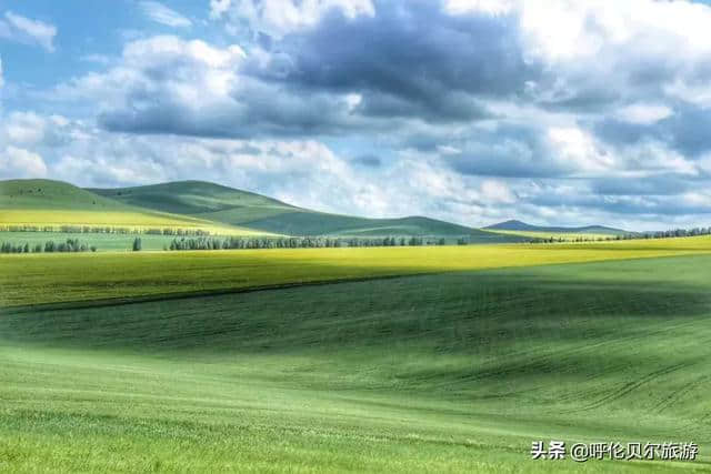 呼伦贝尔大草原，梦一般的旅行