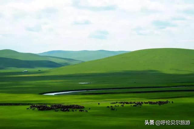 呼伦贝尔大草原，梦一般的旅行