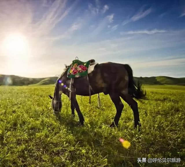 呼伦贝尔大草原，梦一般的旅行