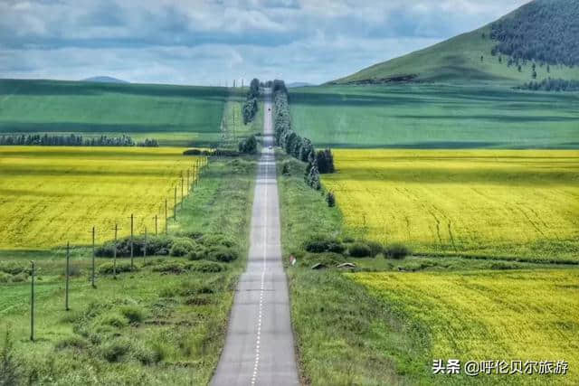 呼伦贝尔大草原，梦一般的旅行