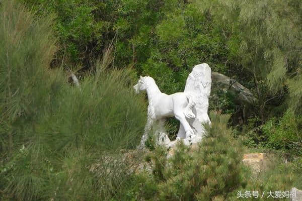 妈祖游记：湄洲岛最全自由行旅游攻略-最尽兴的一次